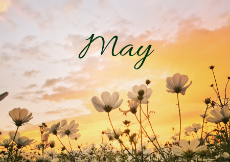 Golden Hour Hello May